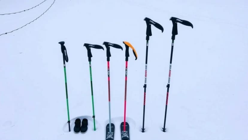 Vilka alpina stavar passar dig bäst